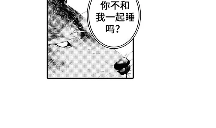 毛绒绒男友 第21章：变得喜欢 第13页