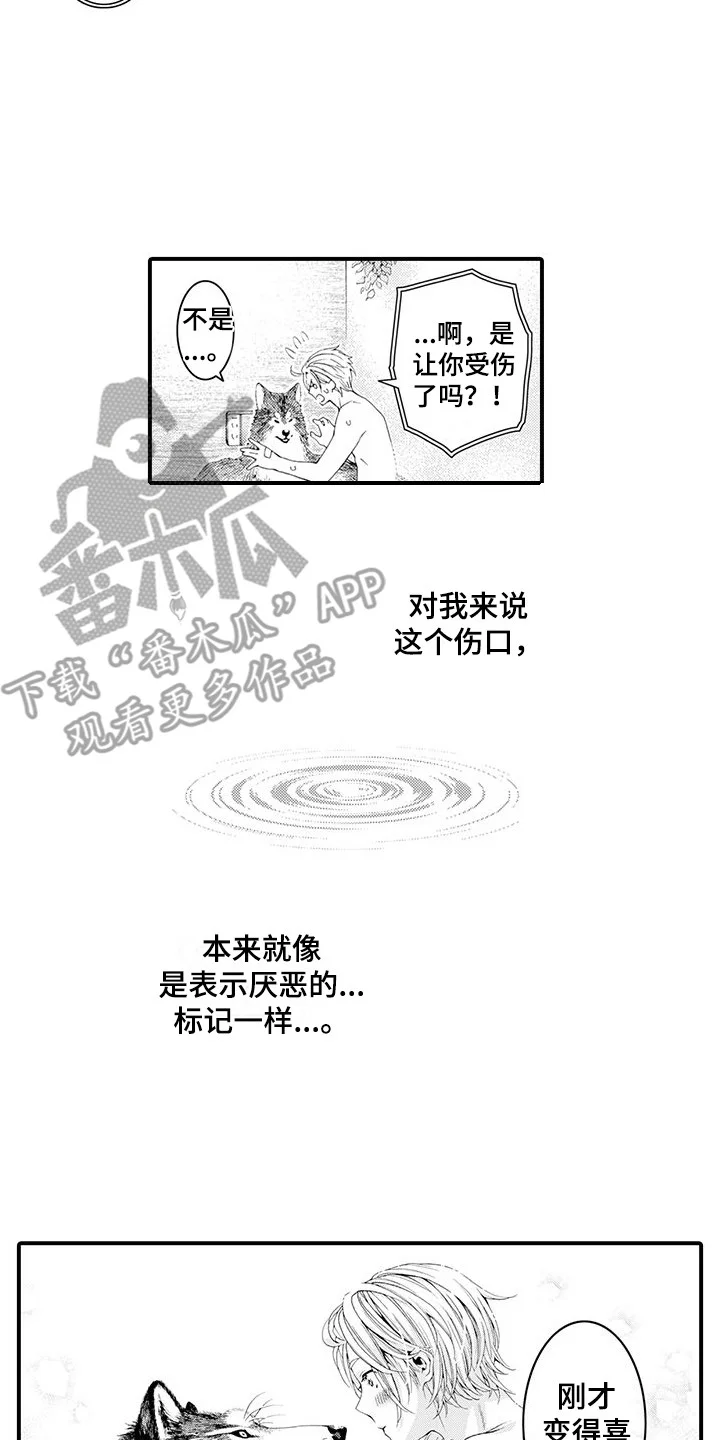 毛绒绒男友 第21章：变得喜欢 第2页