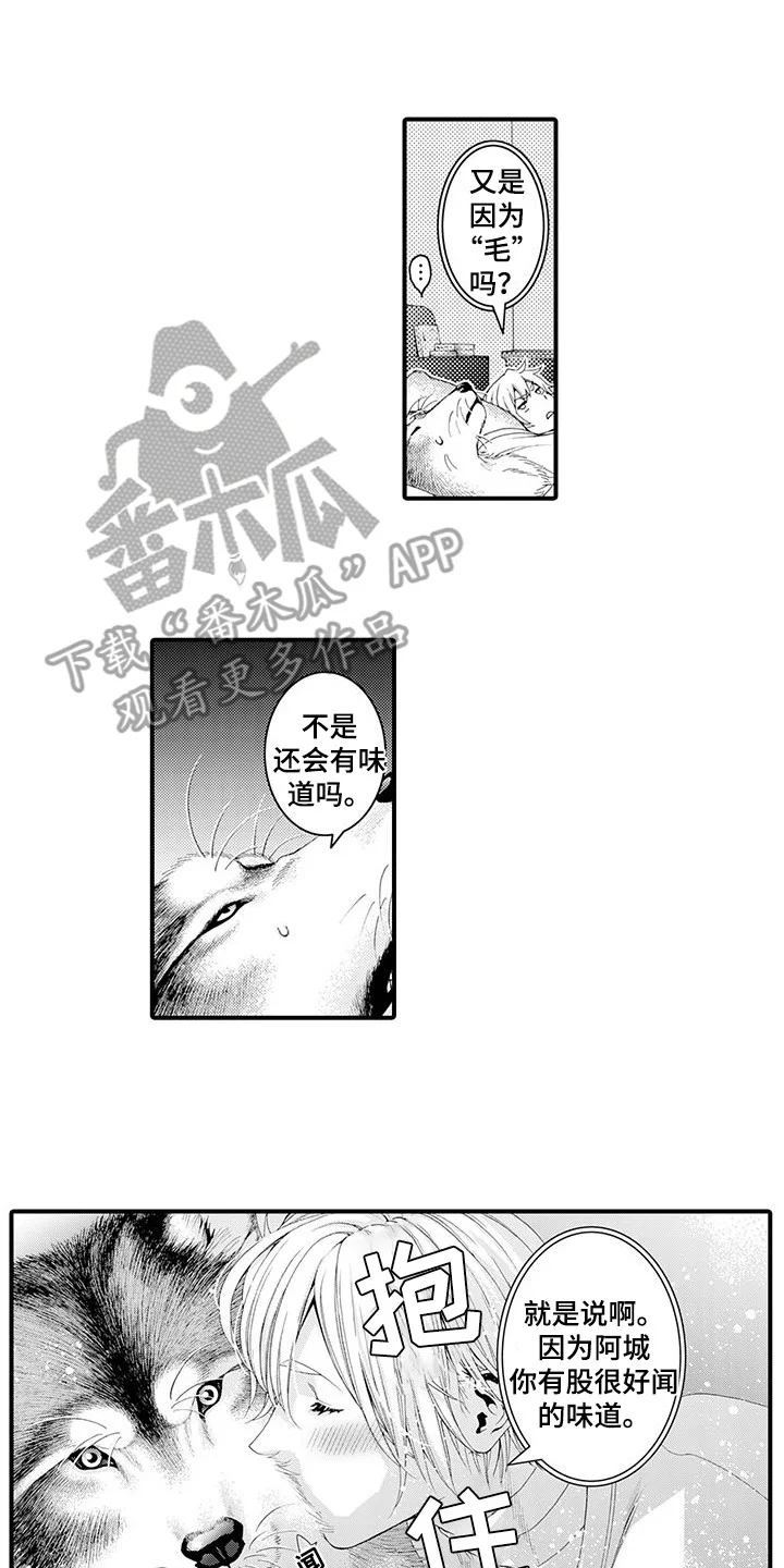 毛绒绒男友 第22章：很好闻 第2页