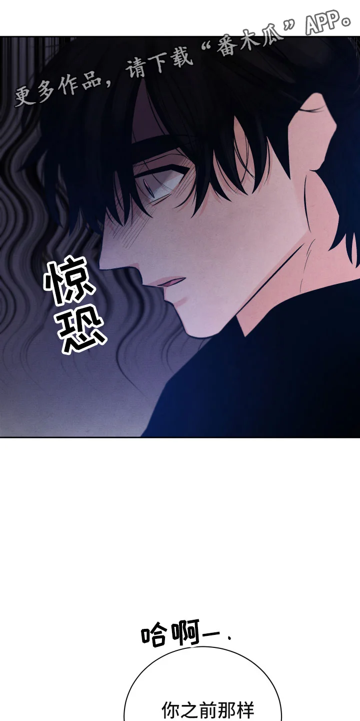 流星落入掌中 第17章：你选谁？ 第1页
