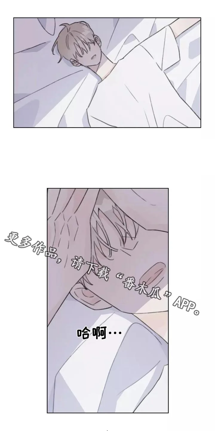 浪漫的青春 第33章：心态 第1页