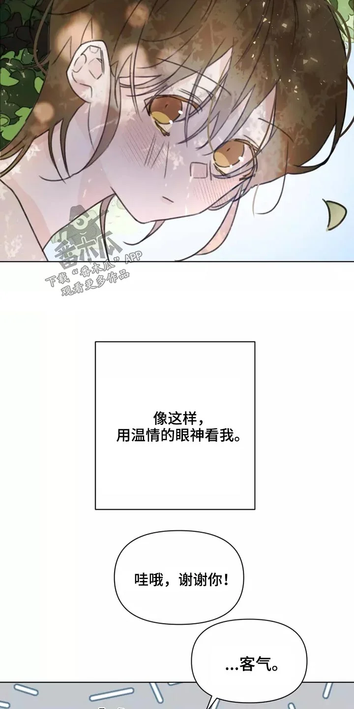 浪漫的青春 第33章：心态 第15页