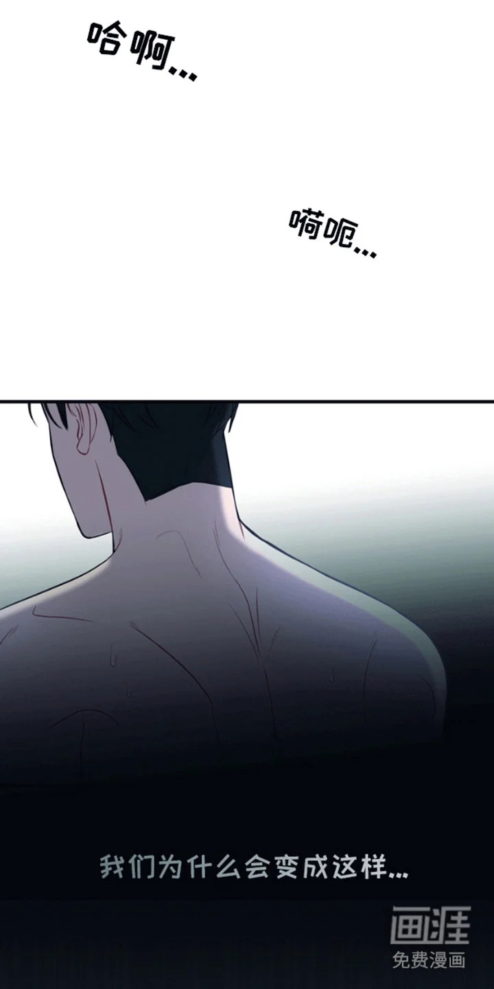 消失的美人鱼 第1章：人鱼 第18页