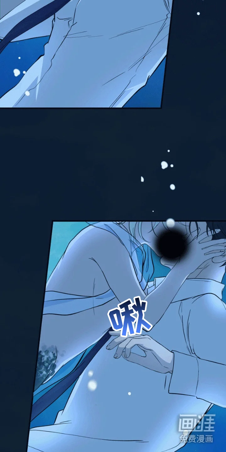 消失的美人鱼 第1章：人鱼 第5页