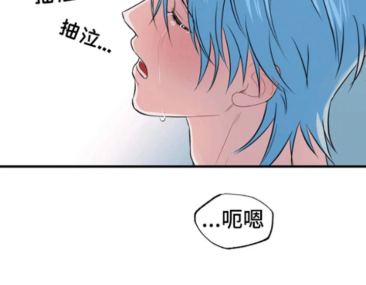 消失的美人鱼 第1章：人鱼 第13页