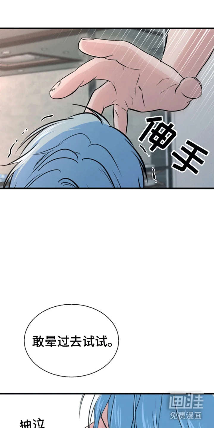 消失的美人鱼 第1章：人鱼 第12页