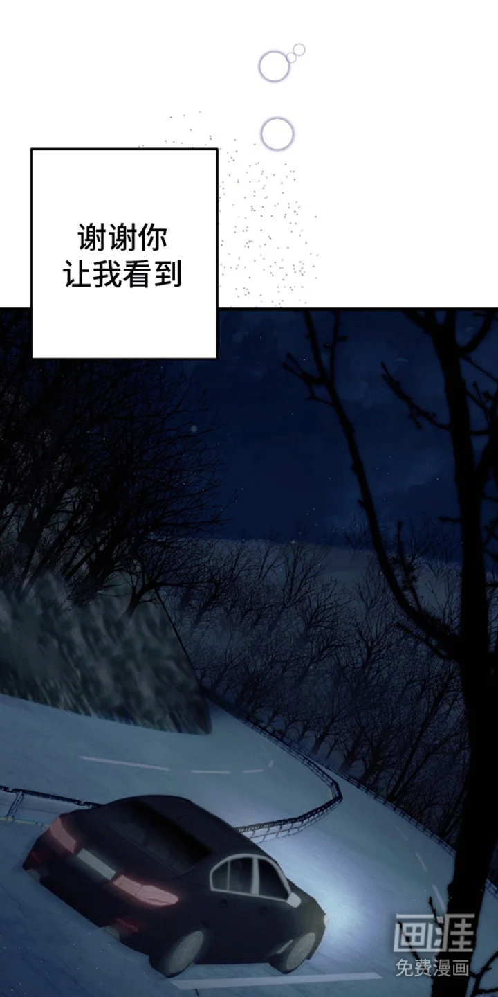 消失的美人鱼 第10章：开车抓鱼 第23页