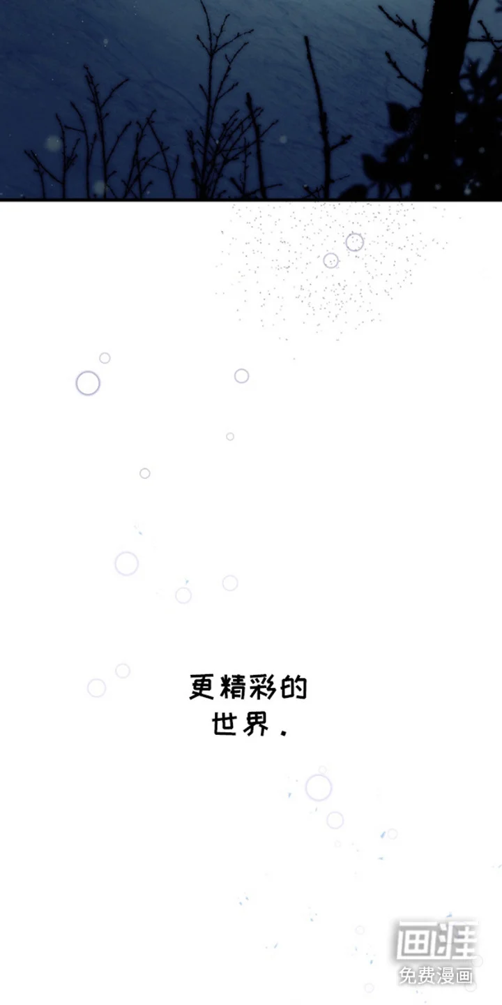 消失的美人鱼 第10章：开车抓鱼 第24页