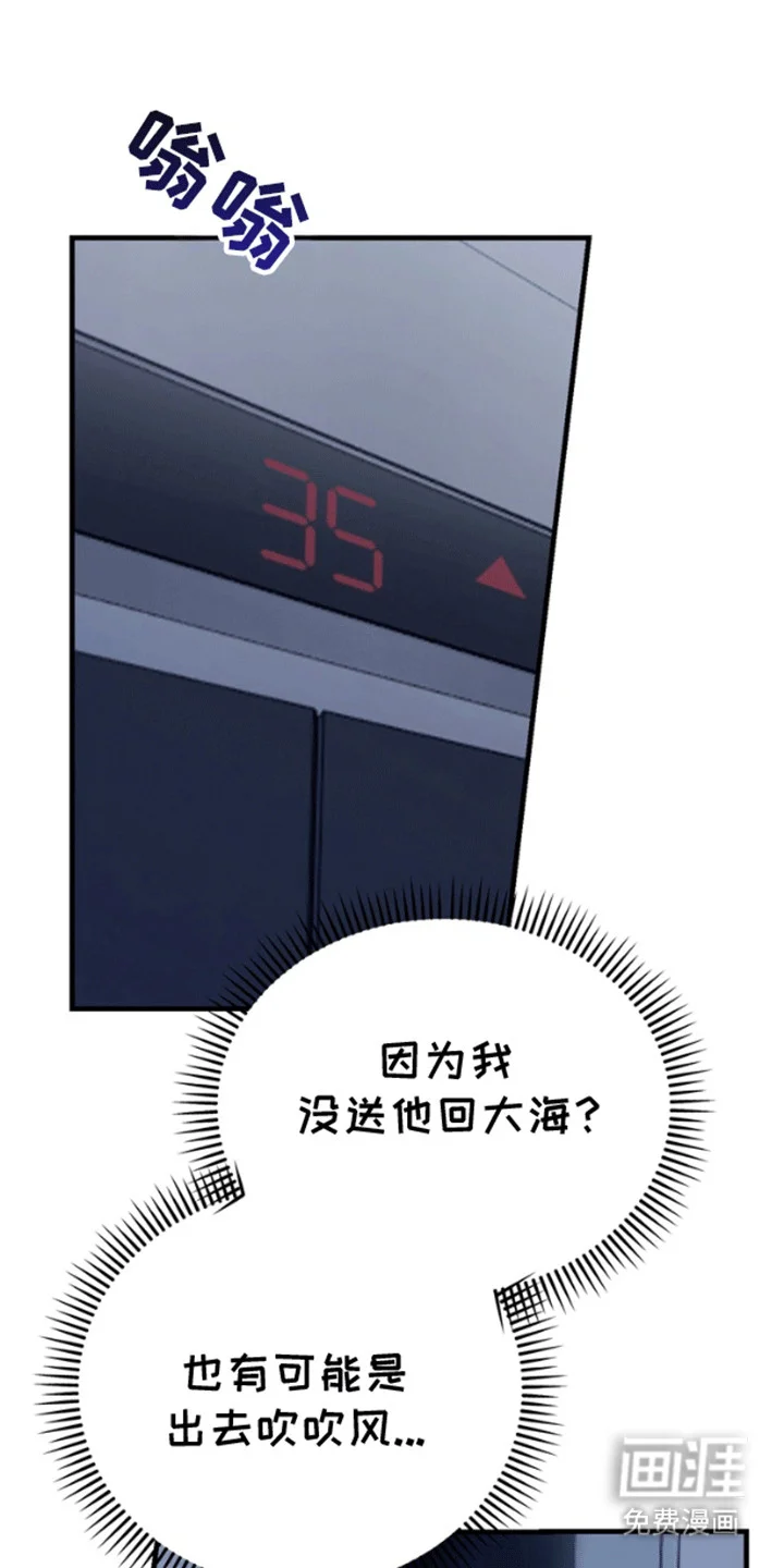 消失的美人鱼 第10章：开车抓鱼 第6页