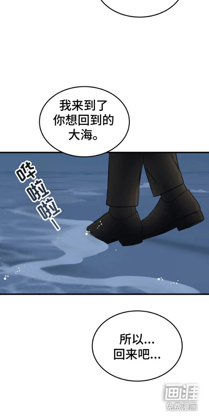 消失的美人鱼 第11章：失去的记忆 第29页