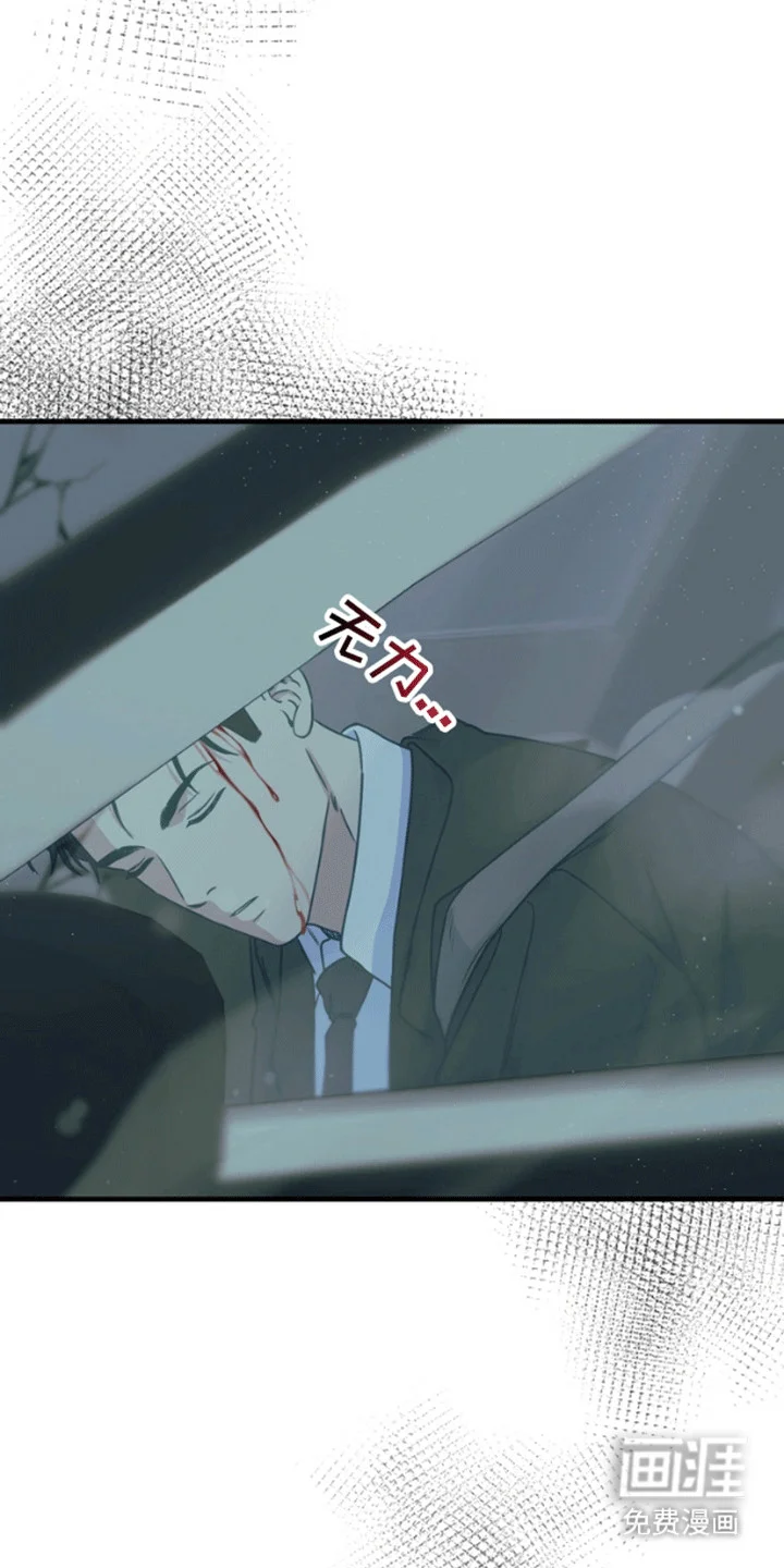 消失的美人鱼 第11章：失去的记忆 第7页
