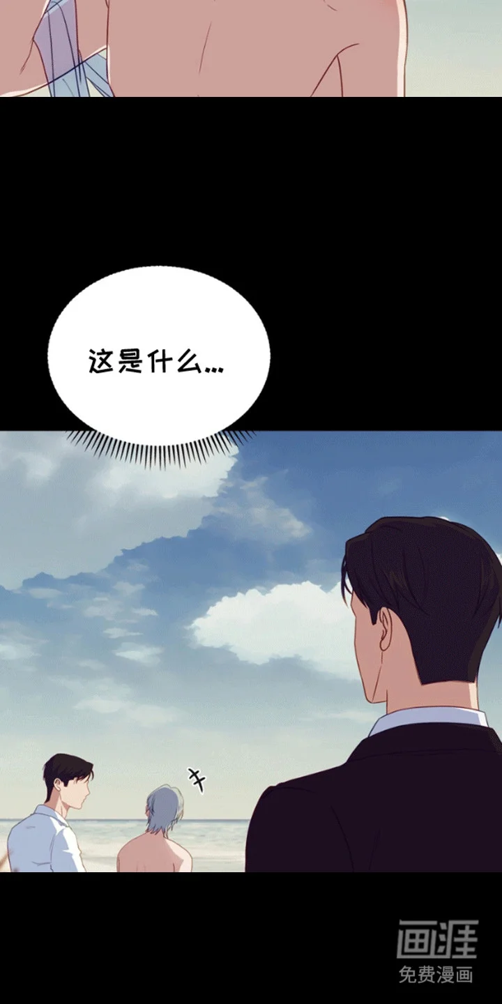 消失的美人鱼 第11章：失去的记忆 第12页