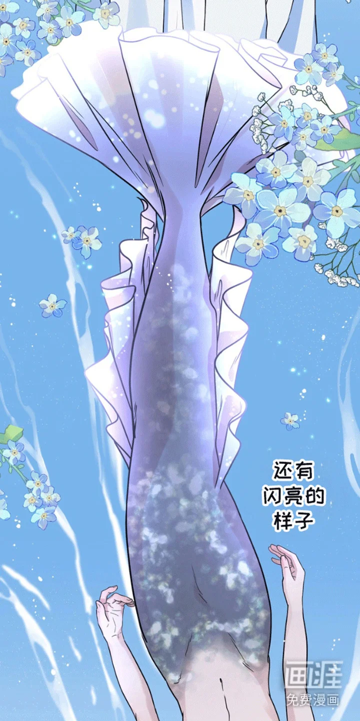 消失的美人鱼 第11章：失去的记忆 第36页