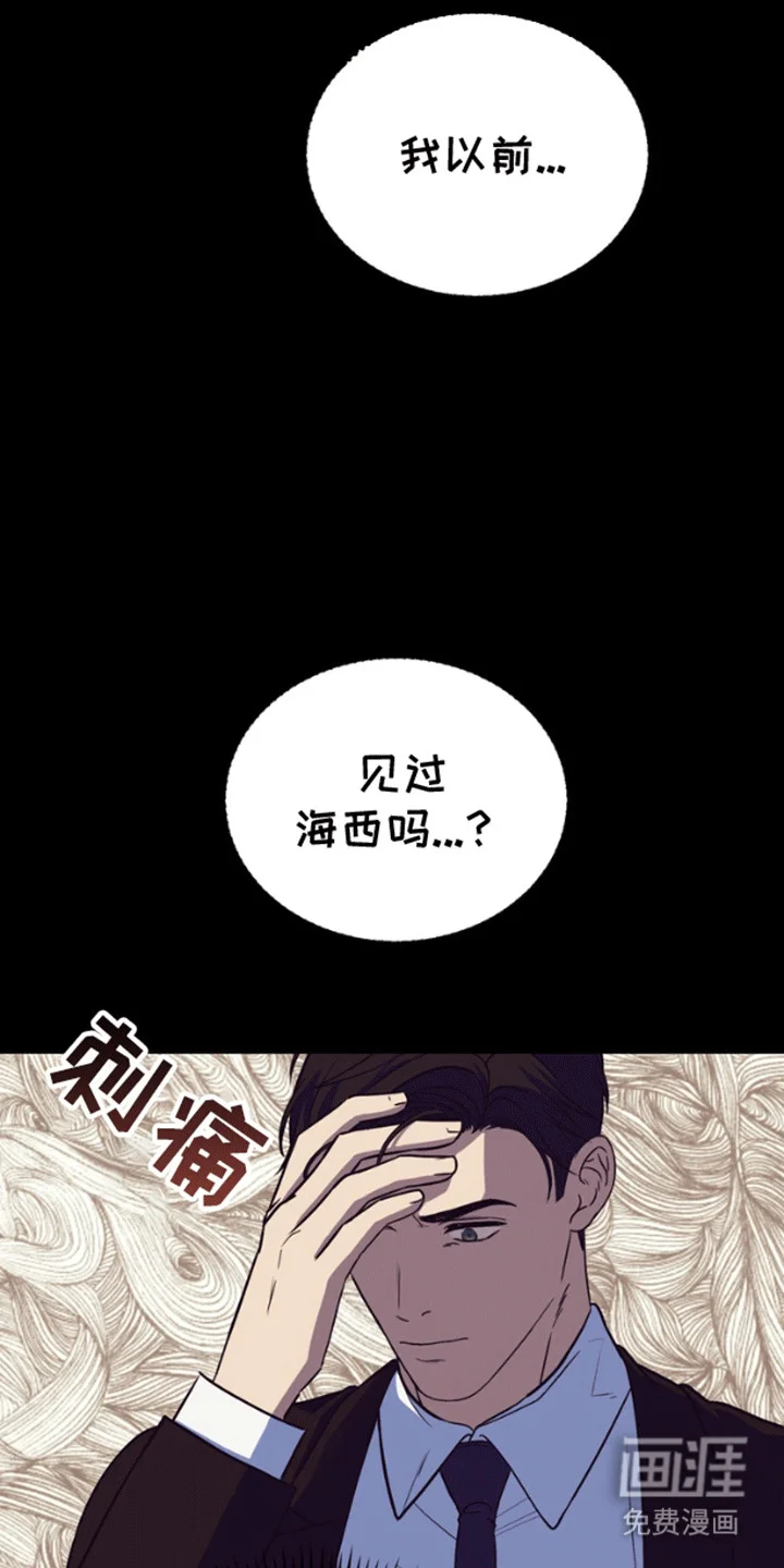 消失的美人鱼 第11章：失去的记忆 第13页