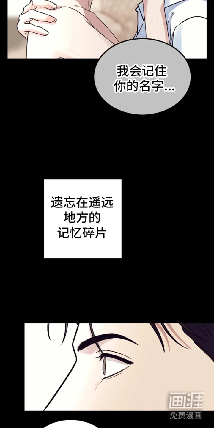 消失的美人鱼 第11章：失去的记忆 第16页
