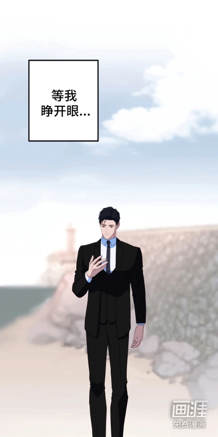 消失的美人鱼 第11章：失去的记忆 第9页