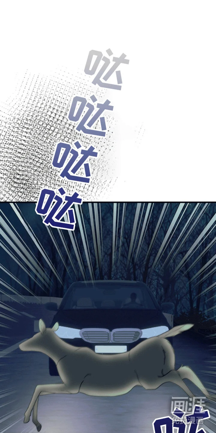 消失的美人鱼 第11章：失去的记忆 第1页