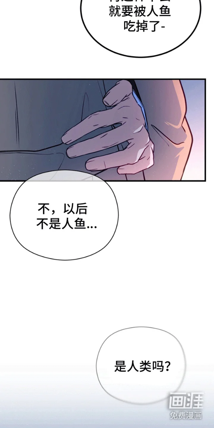 消失的美人鱼 第12章：成为人类（完结） 第29页
