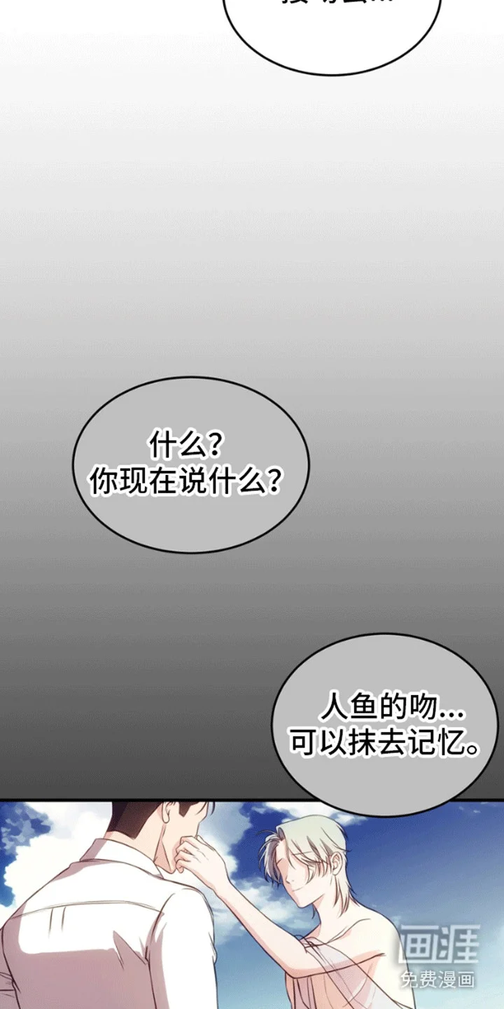 消失的美人鱼 第5章：被发现了 第5页