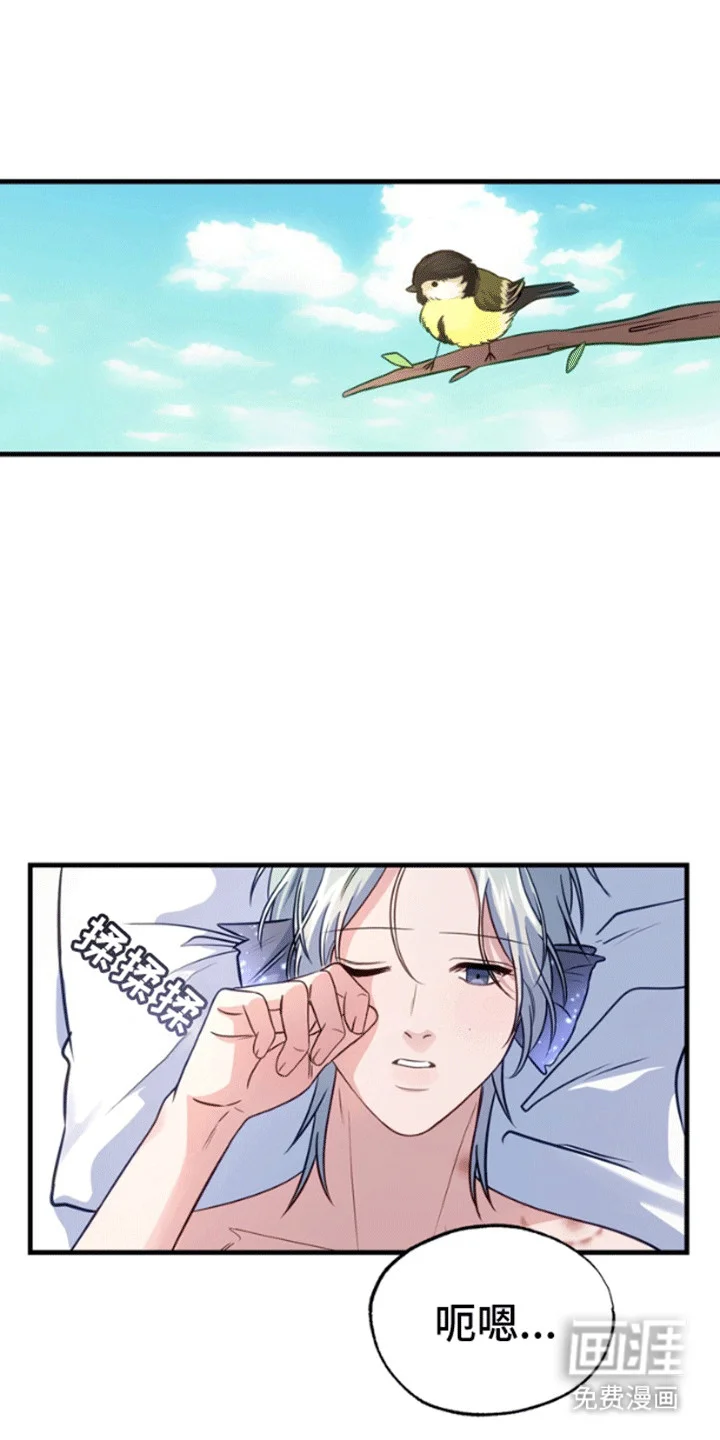 消失的美人鱼 第5章：被发现了 第16页