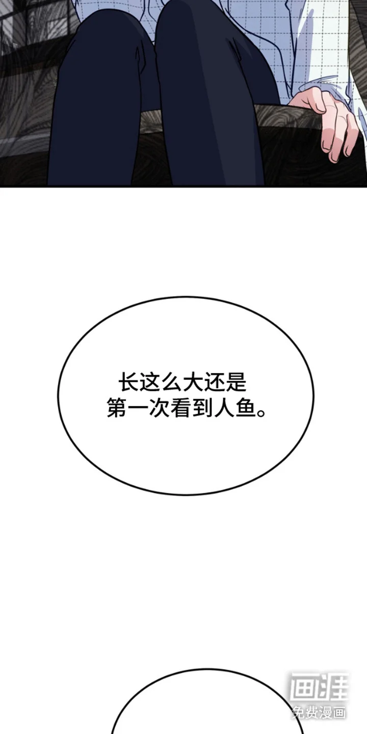 消失的美人鱼 第6章：带他离开 第11页