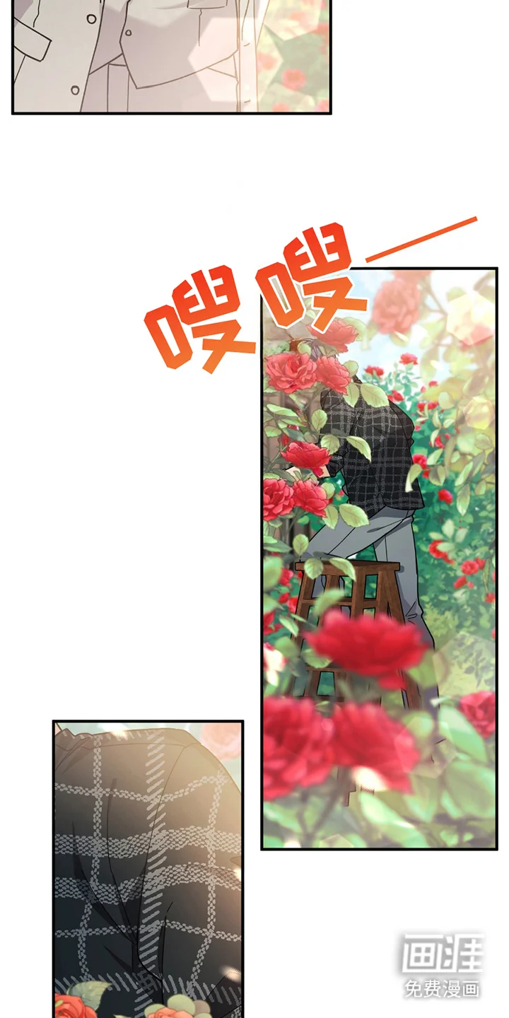 灰熊的玫瑰住宅 第3章：灰熊 第16页