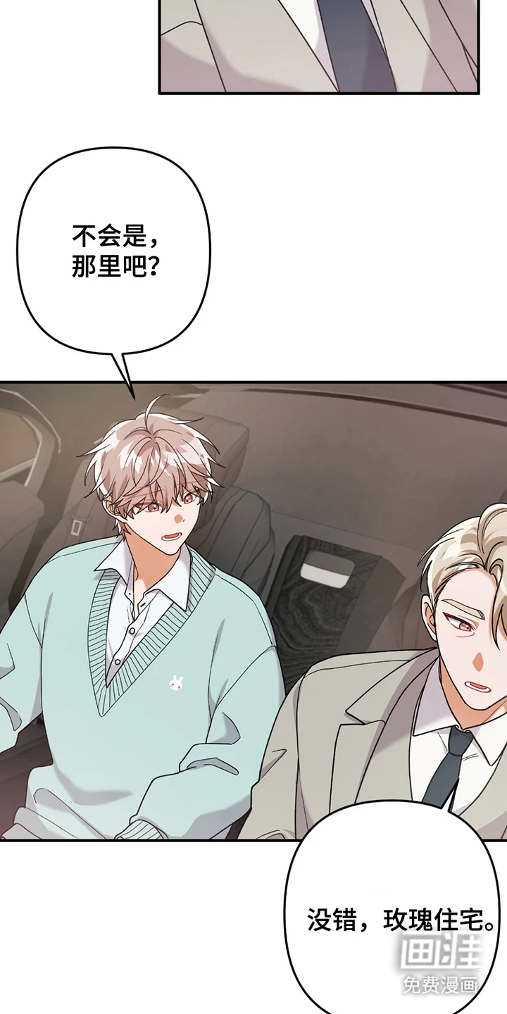 灰熊的玫瑰住宅 第3章：灰熊 第8页