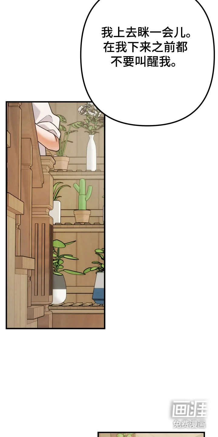 灰熊的玫瑰住宅 第76章：安慰 第25页