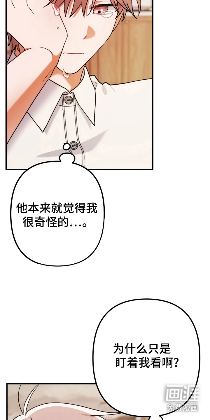 灰熊的玫瑰住宅 第76章：安慰 第11页
