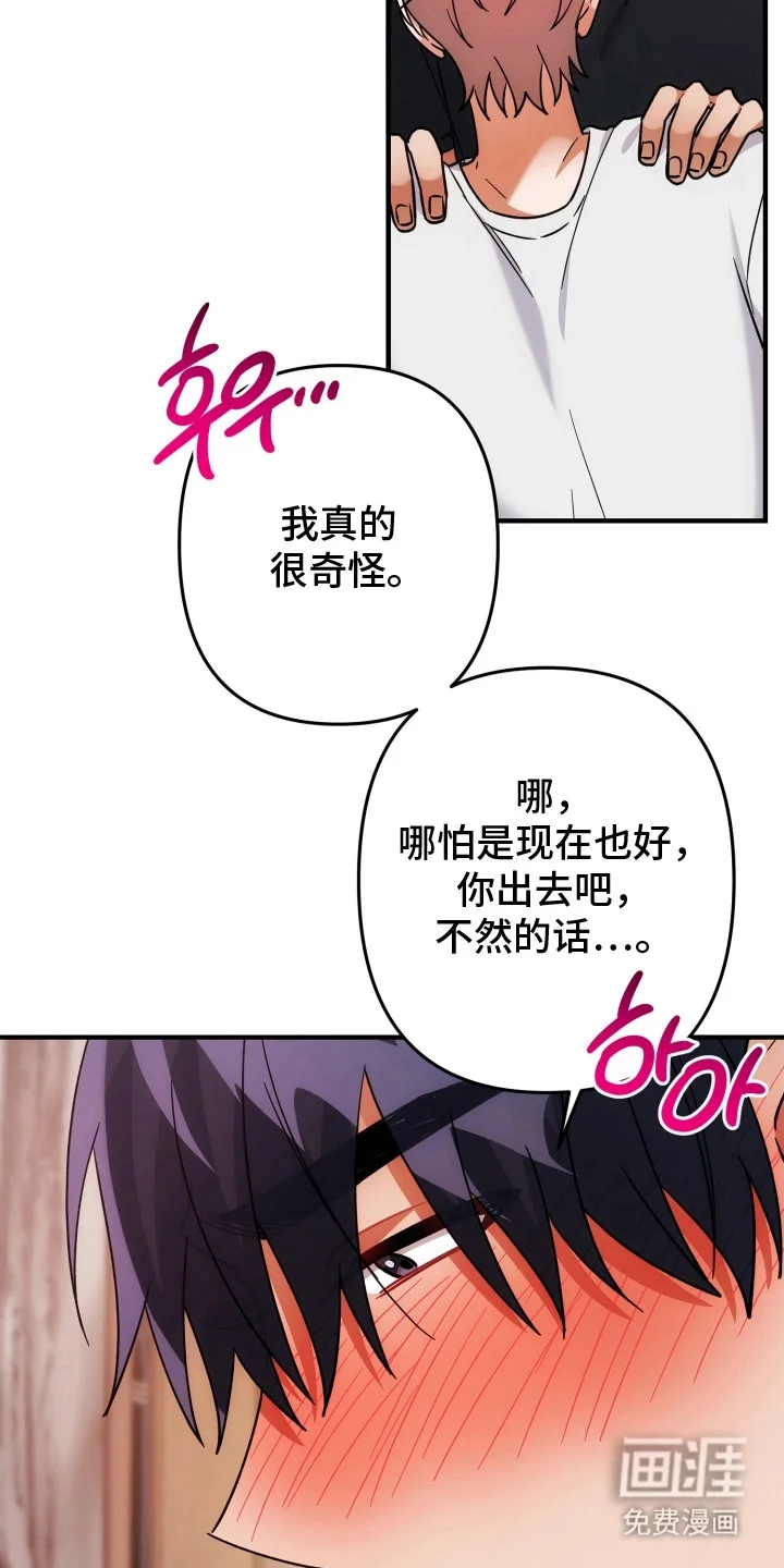 灰熊的玫瑰住宅 第81章：真的生病吗 第17页