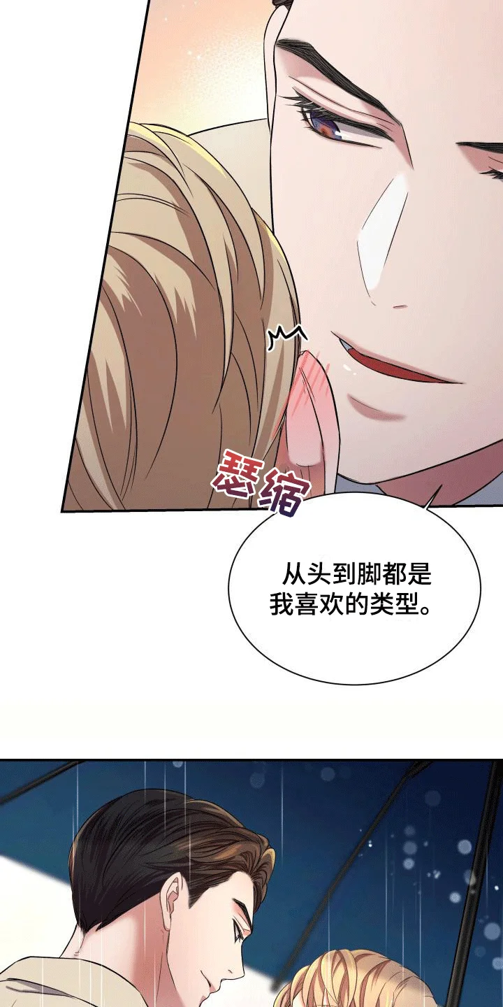 热烈引导 第7章：喜欢的类型 第5页