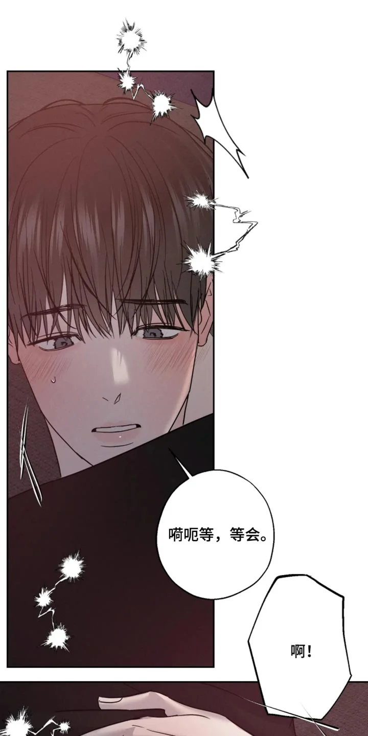 爱意沉寂 第27章：我说可以了 第12页