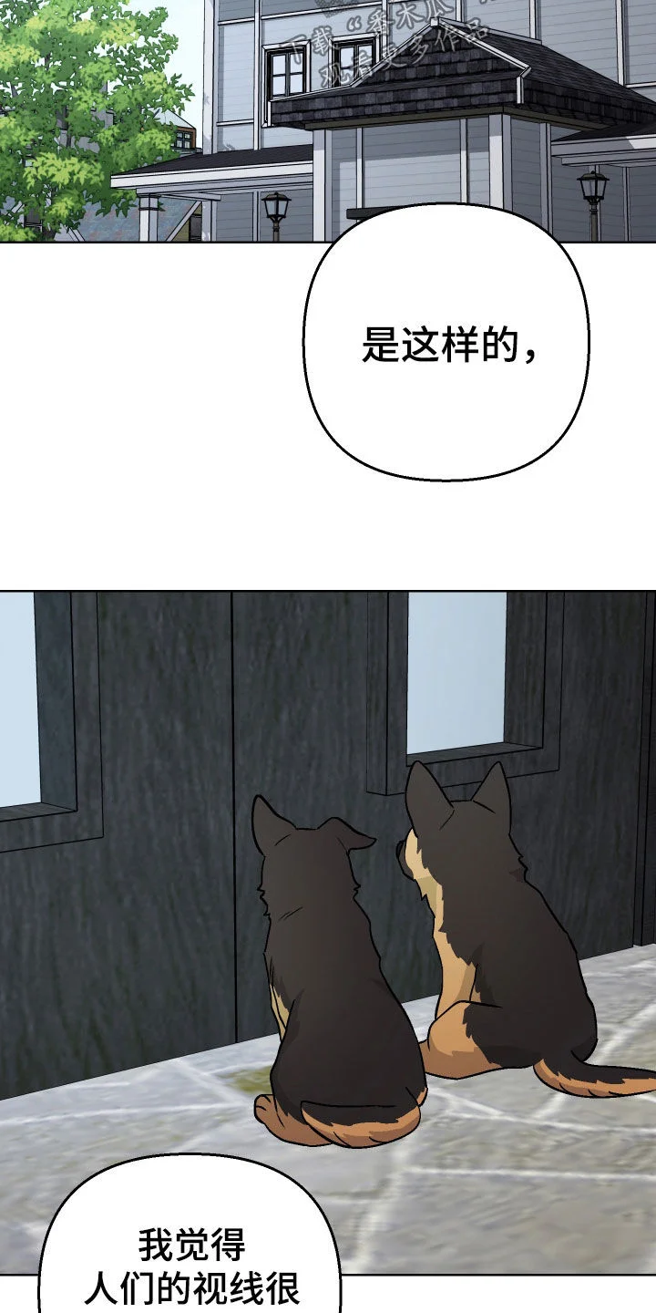 爱犬与我 第166章：【第三季】签名会 第19页