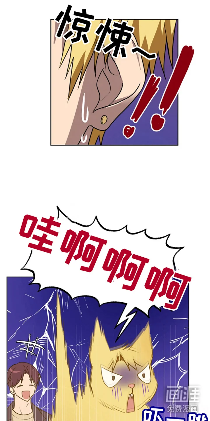 特殊吸引力 第1章：聚餐 第13页