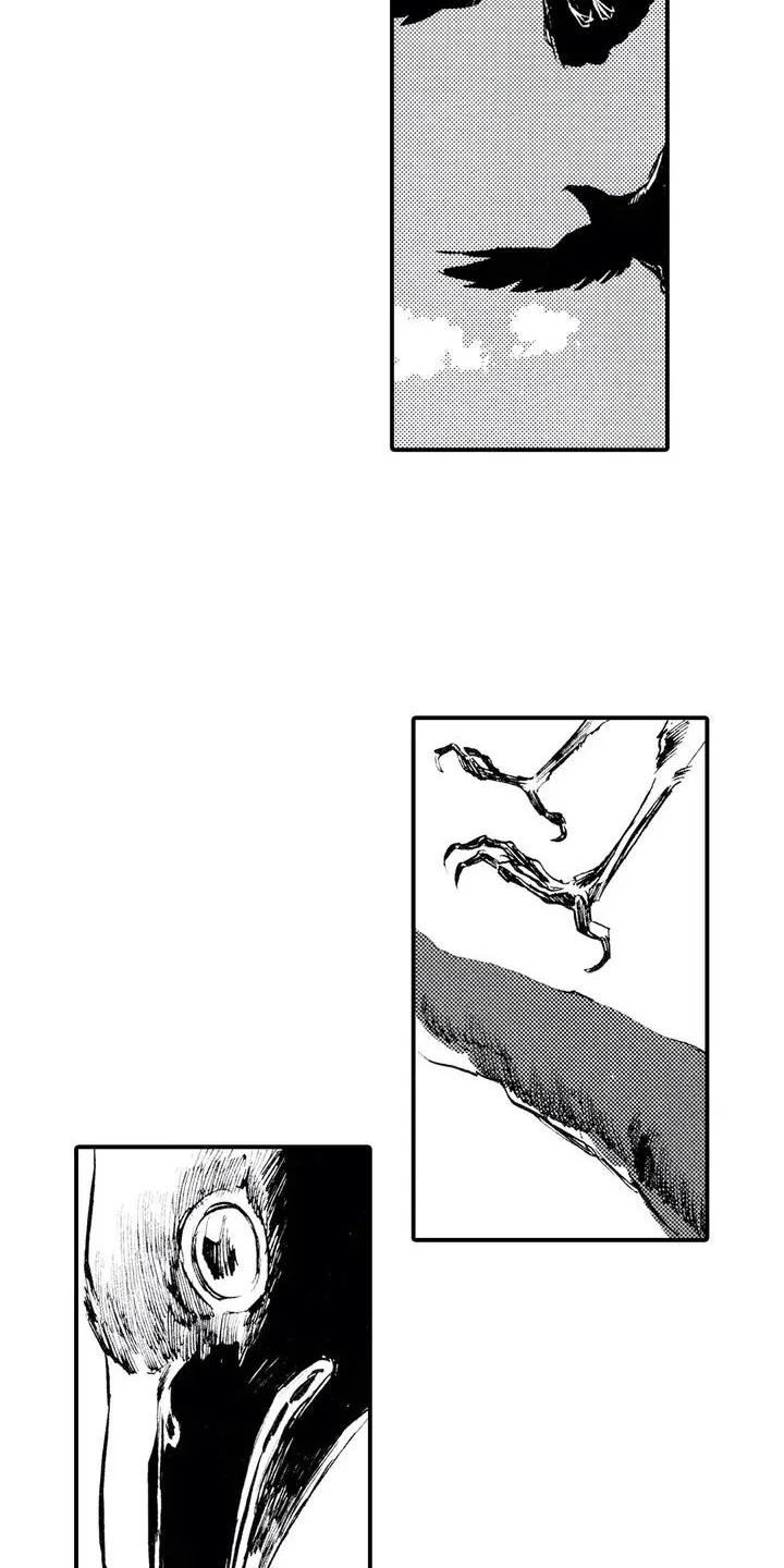 狼人降临 第1章：狼捡了人 第4页