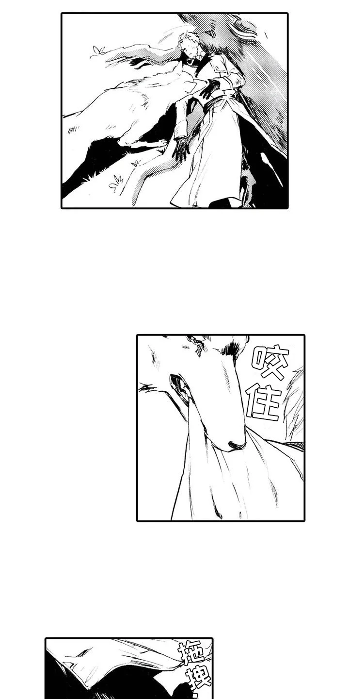 狼人降临 第1章：狼捡了人 第11页