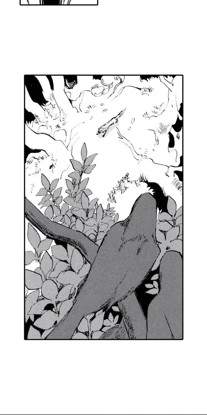 狼人降临 第1章：狼捡了人 第5页