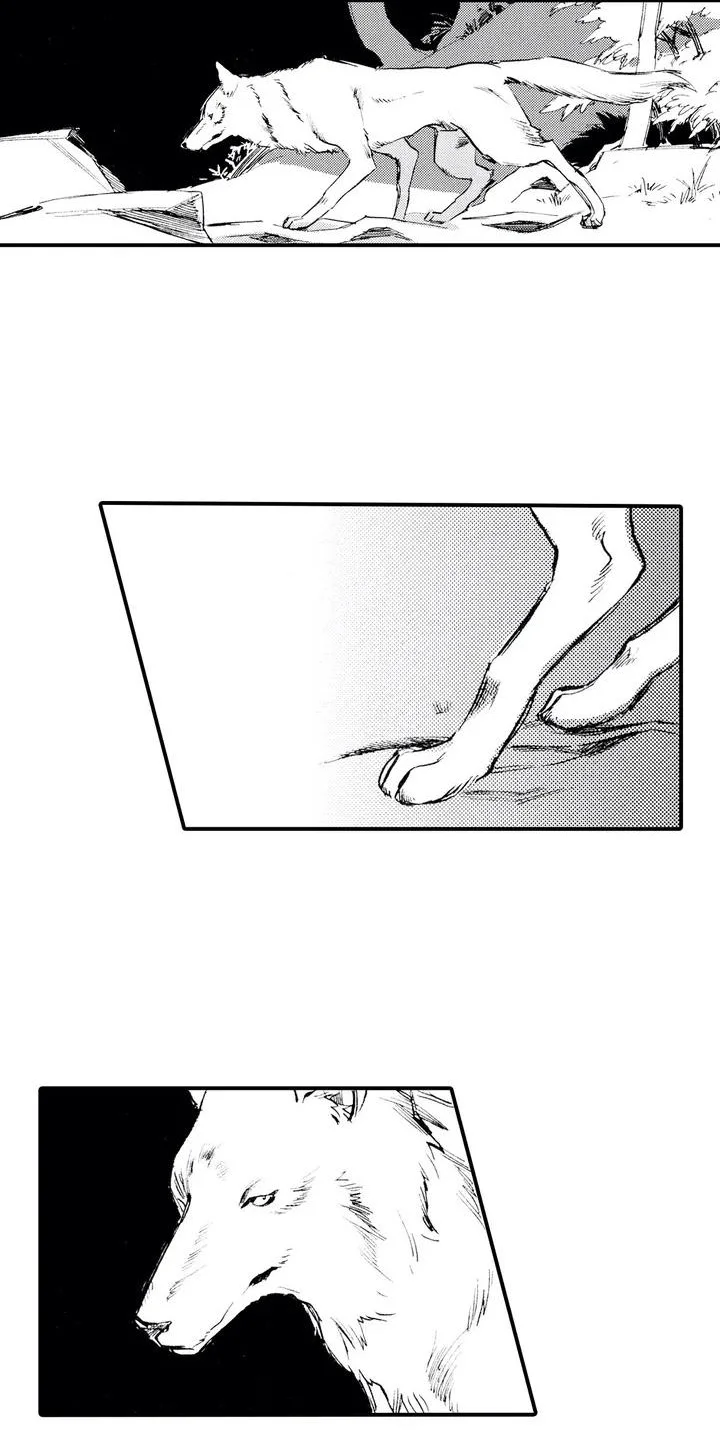狼人降临 第1章：狼捡了人 第6页