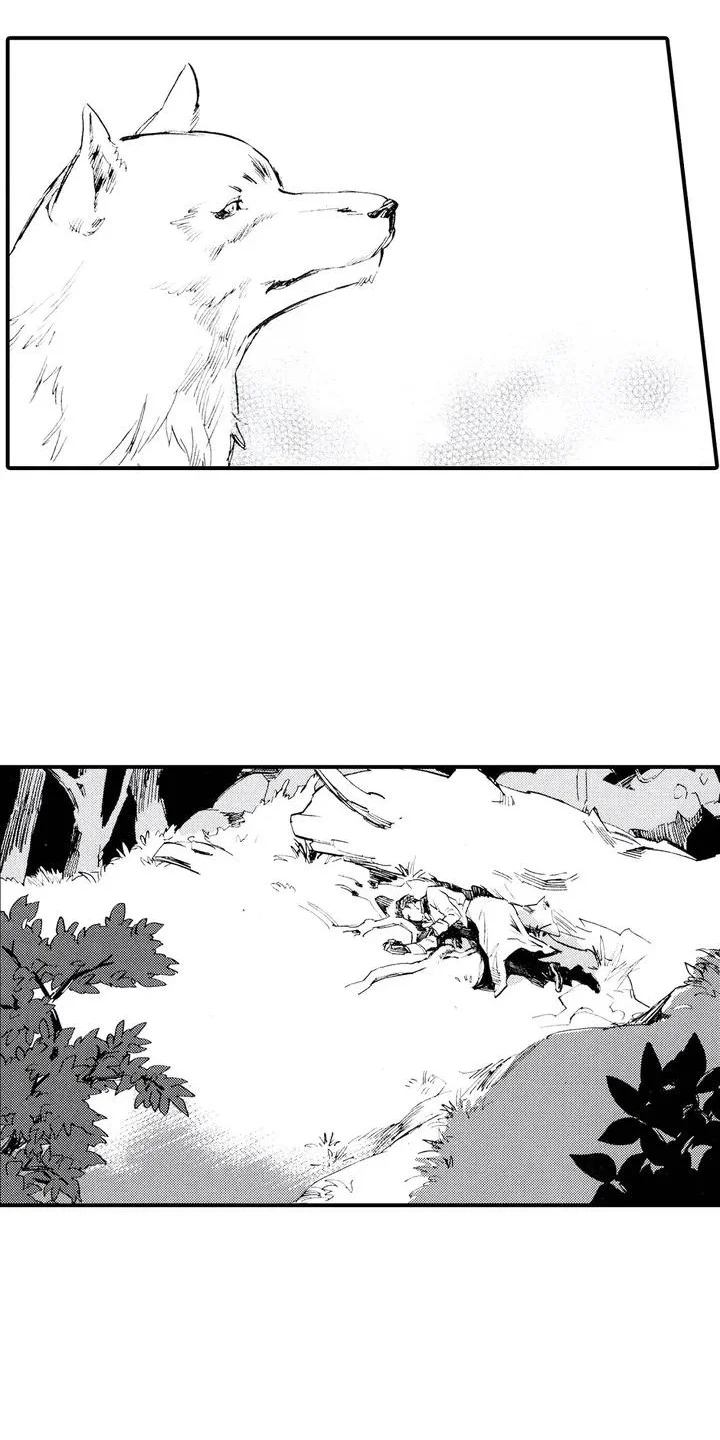 狼人降临 第1章：狼捡了人 第8页