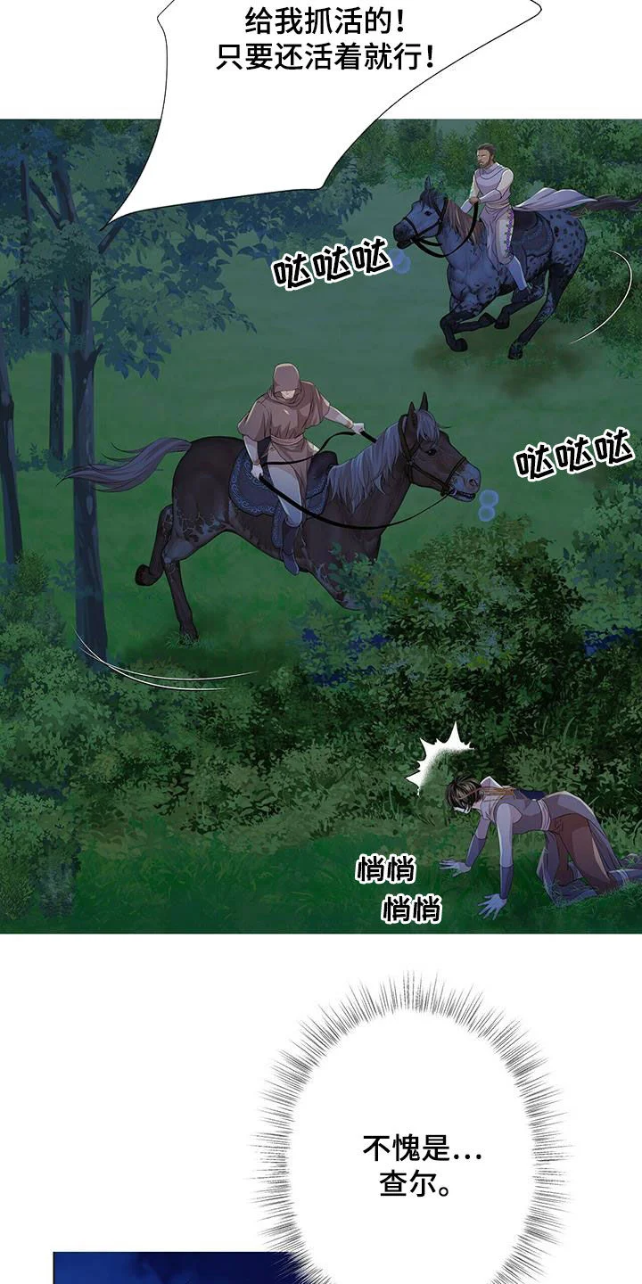 狼王子 第151章：【第二季】追捕 第8页