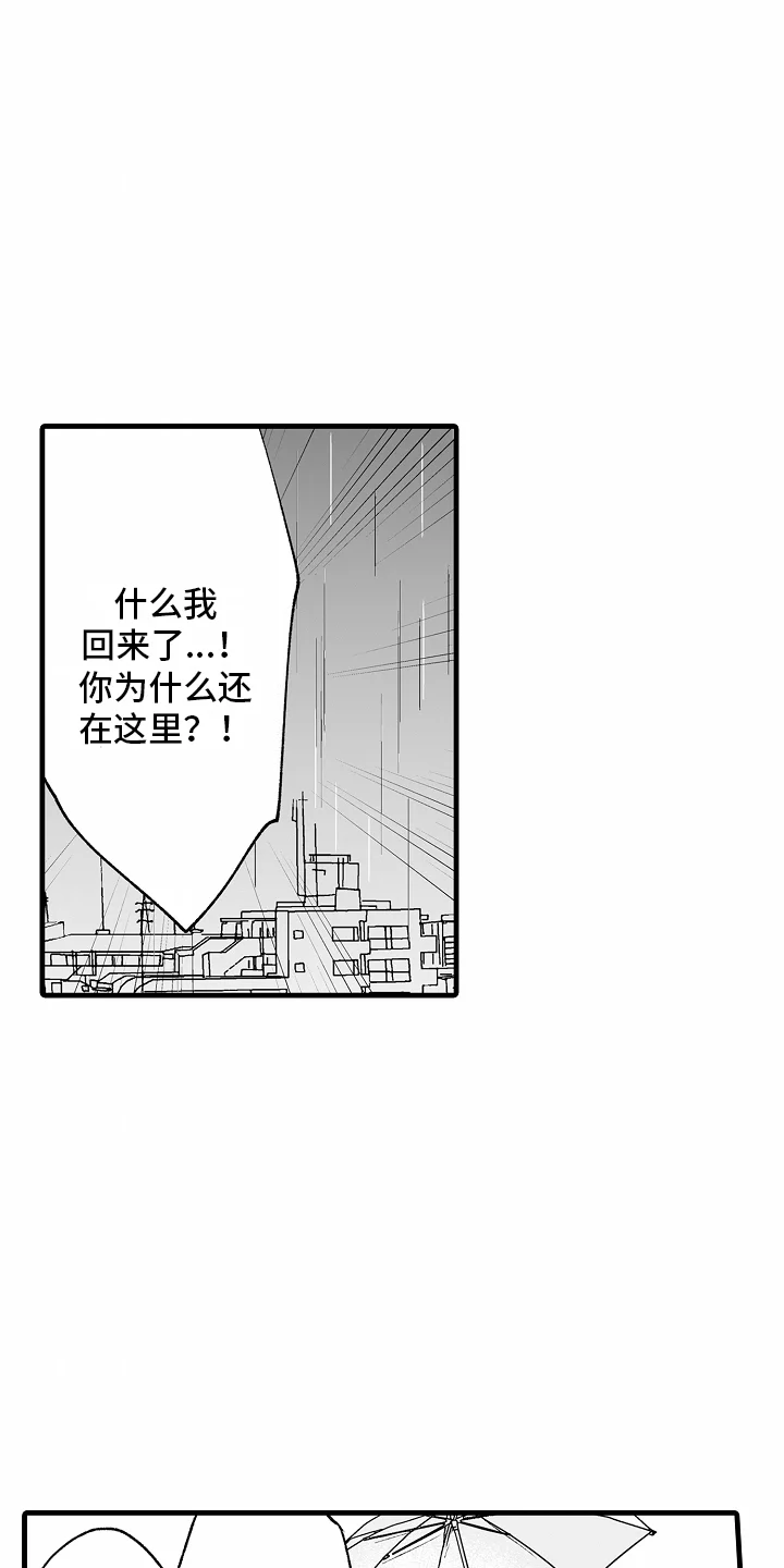 猫猫只想爱你 第19章：和好 第3页