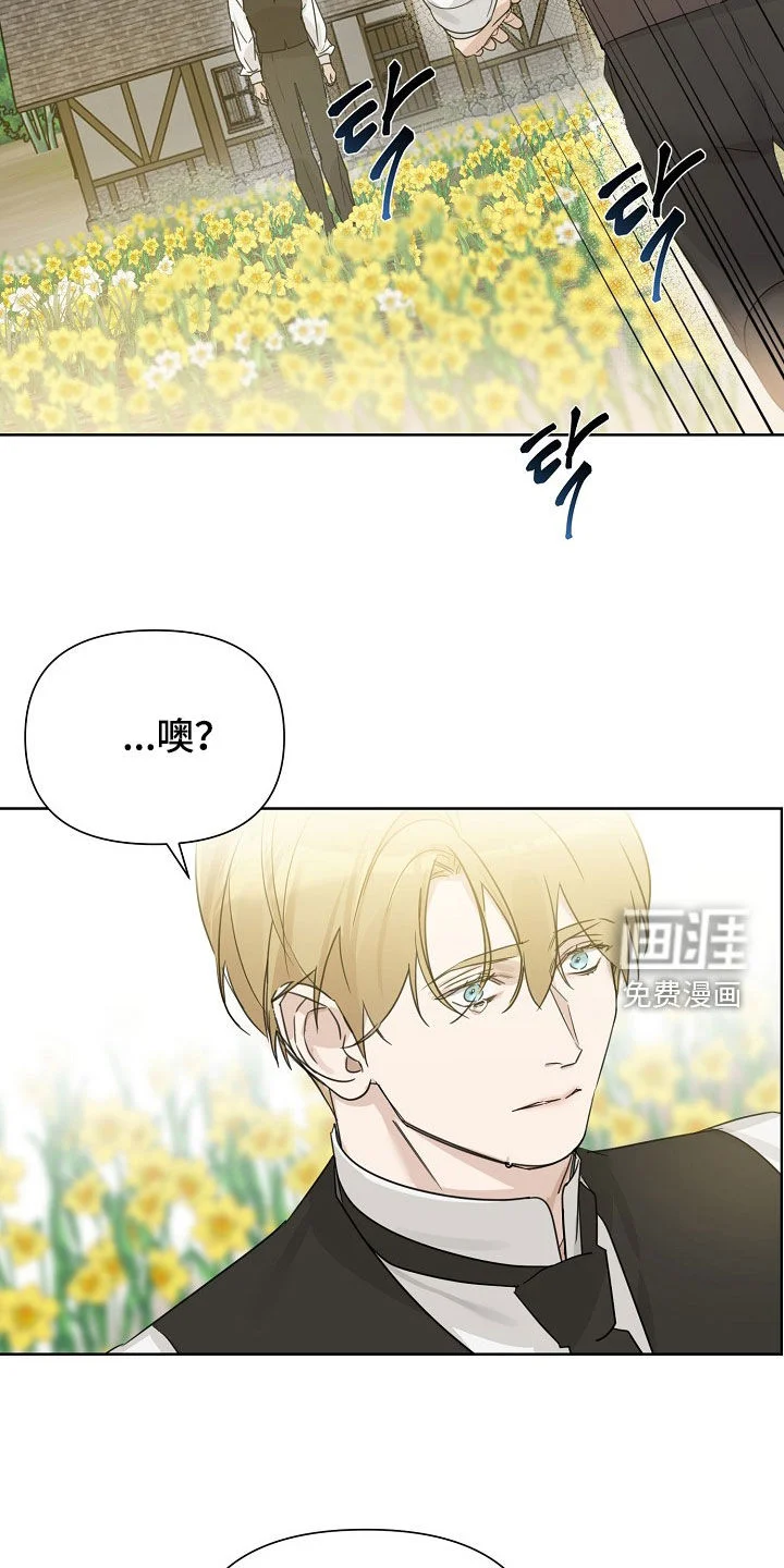 玫瑰庄园 第130章：【第三季完结】黑暗消散 第22页