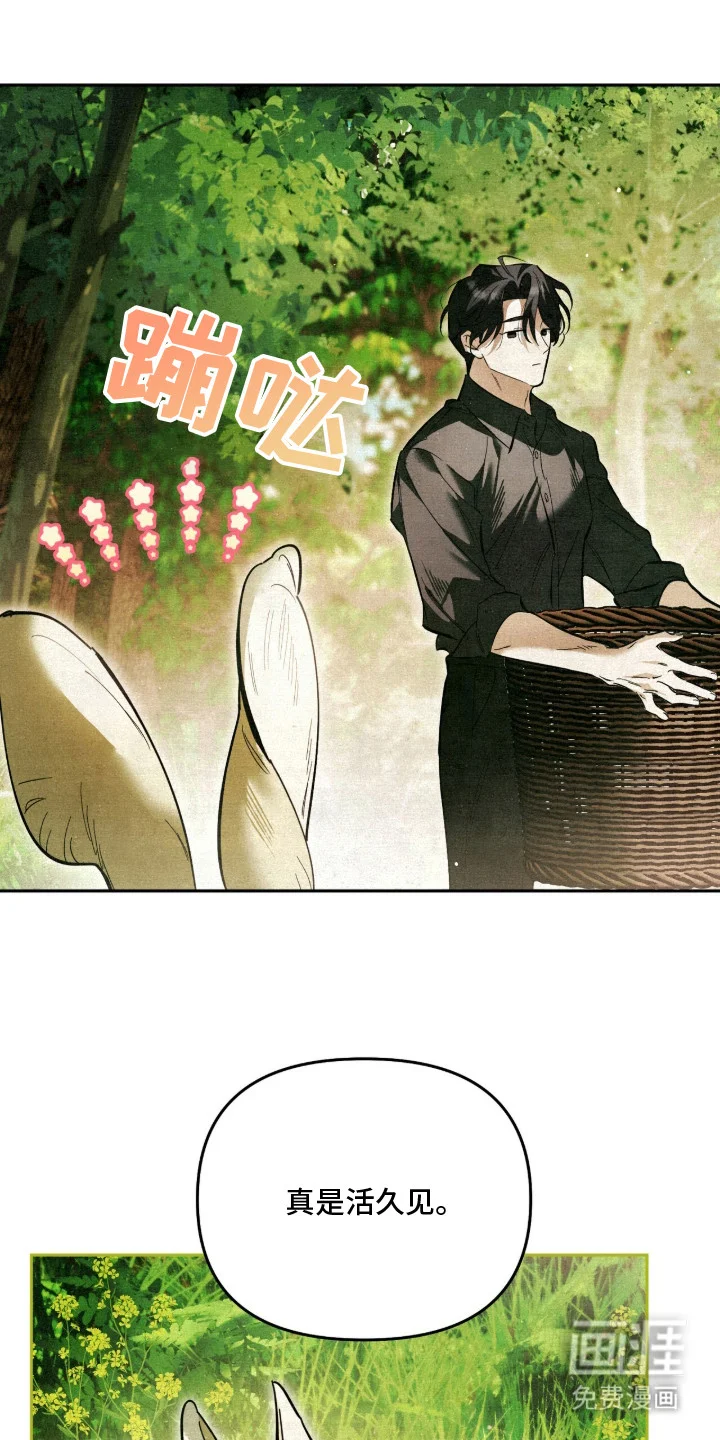 画界桃源 第1章：画中世界 第16页