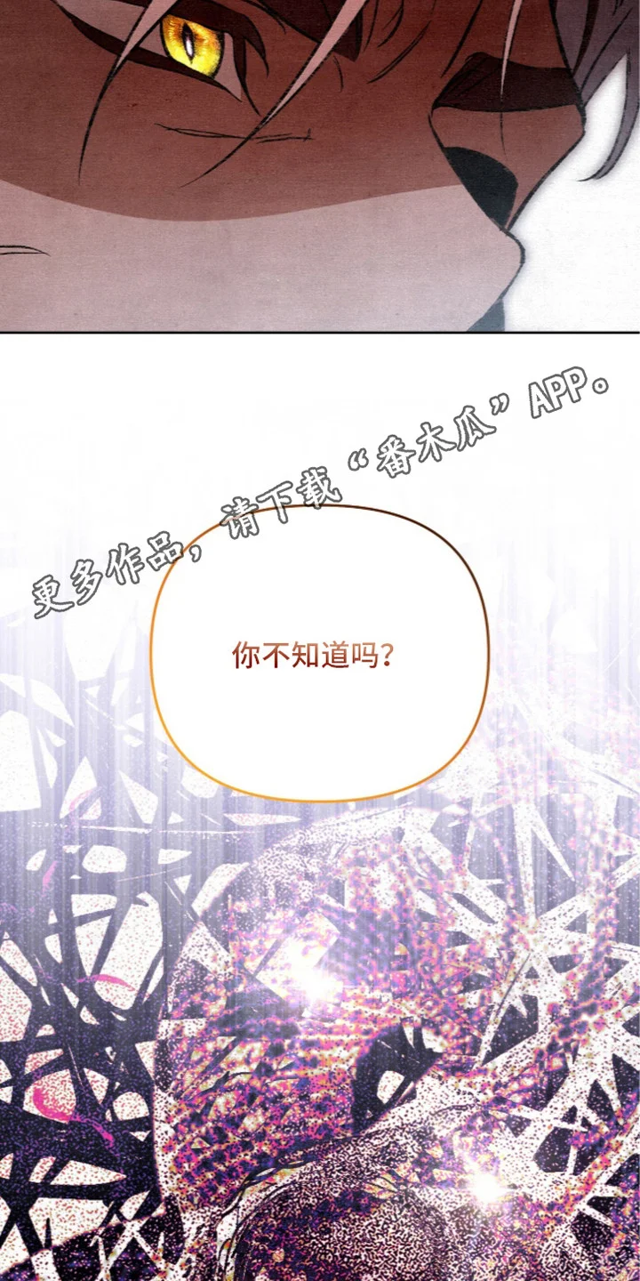 画界桃源 第26章：顺其自然 第6页