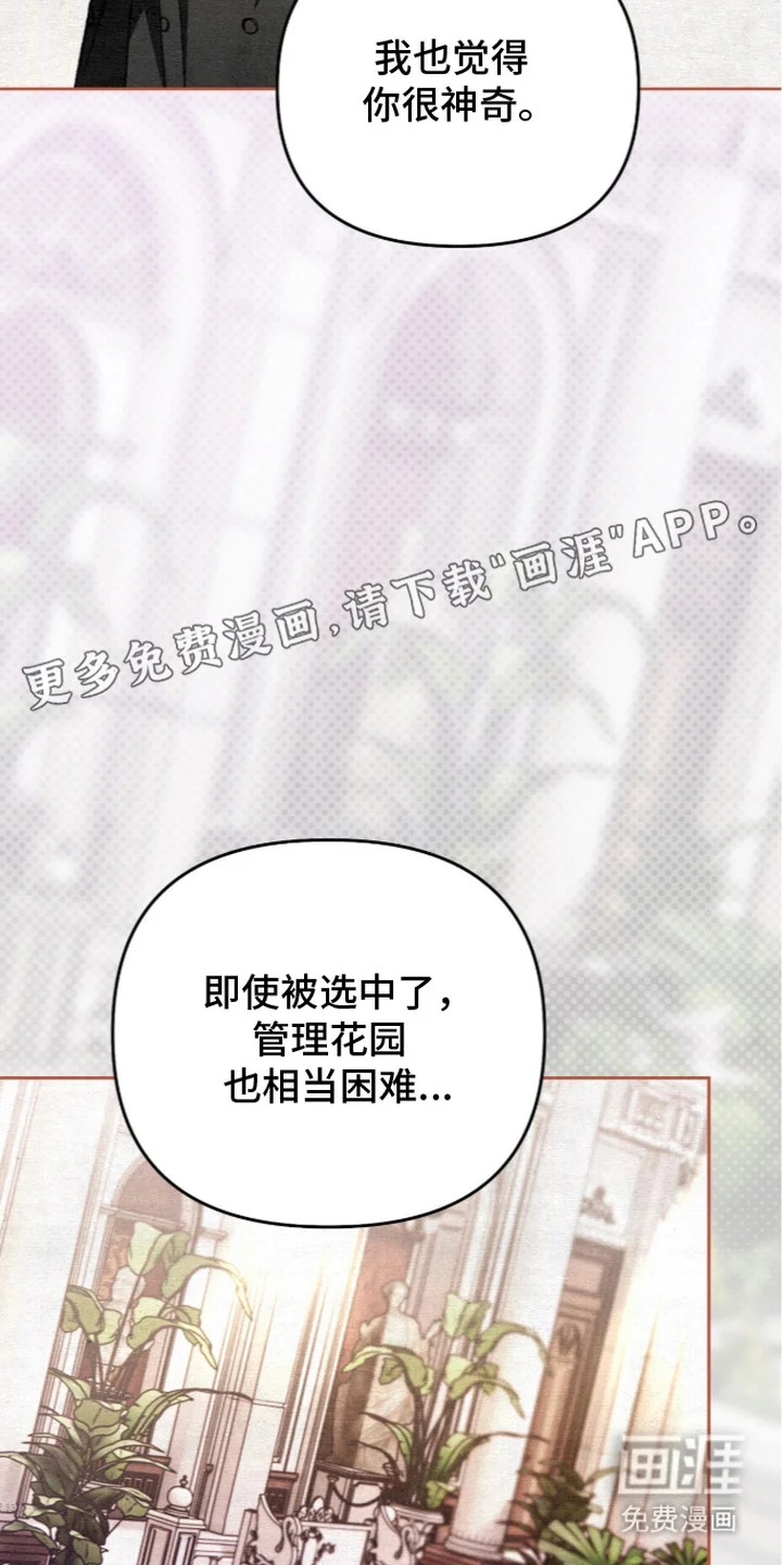 画界桃源 第28章：带礼物 第24页