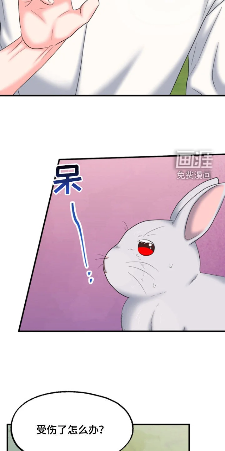白兔为伴 第36章：1年前 第18页