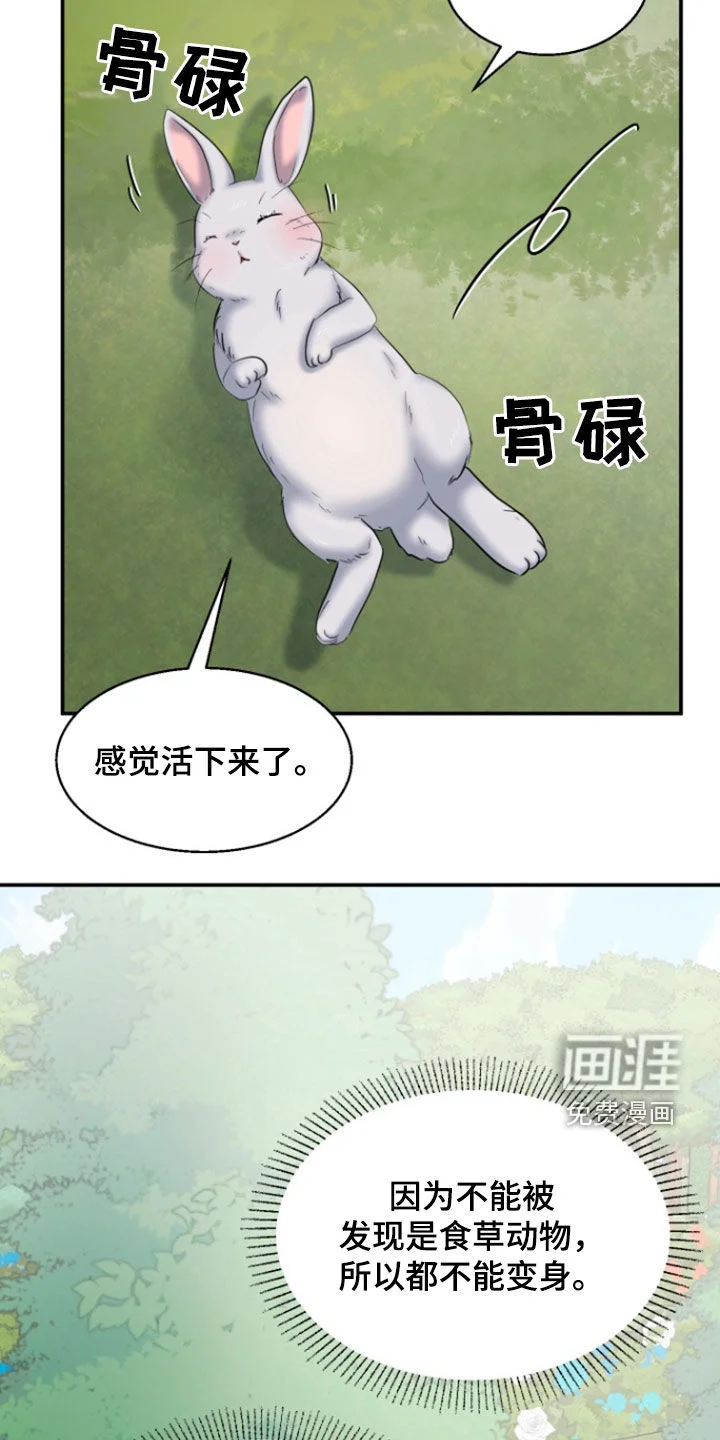 白兔为伴 第36章：1年前 第6页