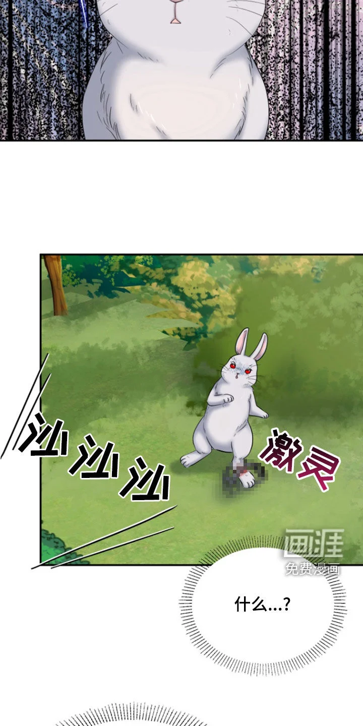 白兔为伴 第36章：1年前 第11页
