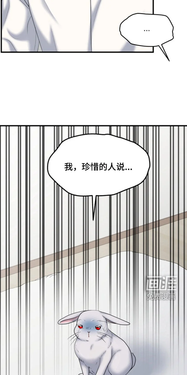 白兔为伴 第36章：1年前 第28页