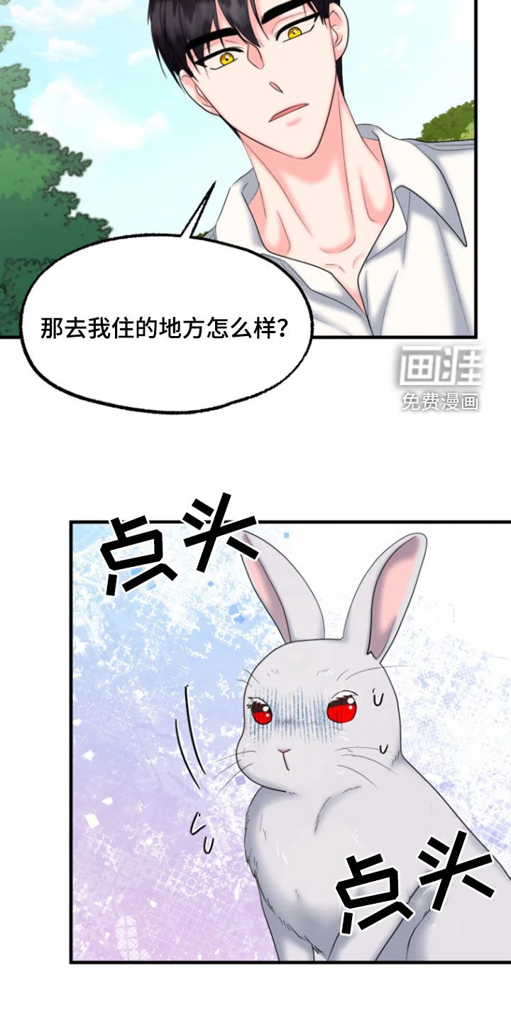 白兔为伴 第36章：1年前 第21页
